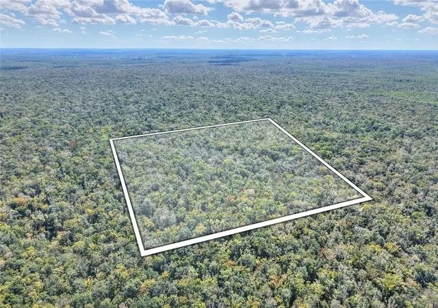 32nd image of Pine Island Dr, Weeki Wachee, FL 34613 | MLS# TB8438921