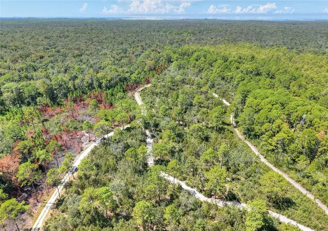 5th image of Pine Island Dr, Weeki Wachee, FL 34613 | MLS# TB8438921