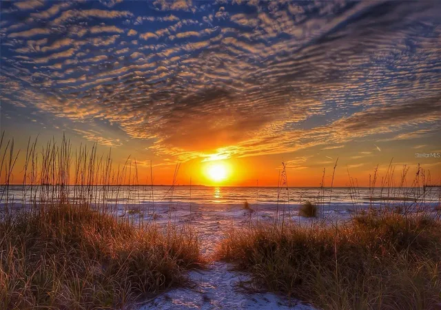 Photo 4 of Land for sale at 1 Paradise Ln, Treasure Island, FL 33706 | MLS# TB8439266 | Listing updated on 2026-10-09
