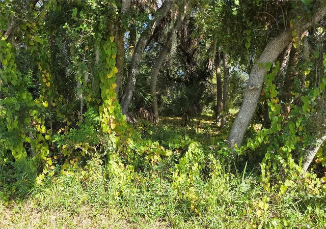 Photo 3 of Land for sale at 414 Liddy St, Port Charlotte, FL 33954 | MLS# D6144329 | Listing updated on 2026-08-27