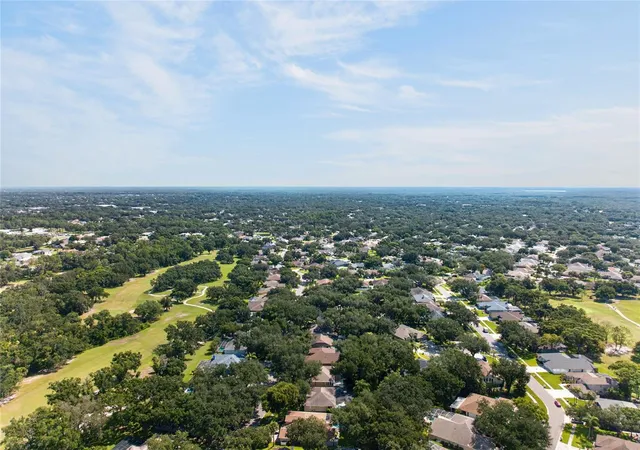 54th image of 2243 Eagle Bluff Dr, Valrico, FL 33596 | MLS# TB8439468