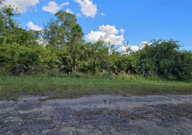 Photo 3 of Land for sale at 423 Wilder Ave S, Lehigh Acres, FL 33974 | MLS# O6354262 | Listing updated on 2025-10-23