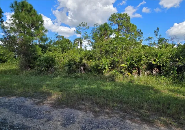 Photo 4 of Land for sale at 423 Wilder Ave S, Lehigh Acres, FL 33974 | MLS# O6354262 | Listing updated on 2025-10-23