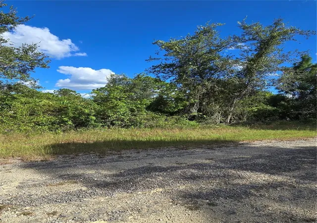 Photo 3 of Land for sale at 419 Wilder Ave S, Lehigh Acres, FL 33974 | MLS# O6354278 | Listing updated on 2025-10-23