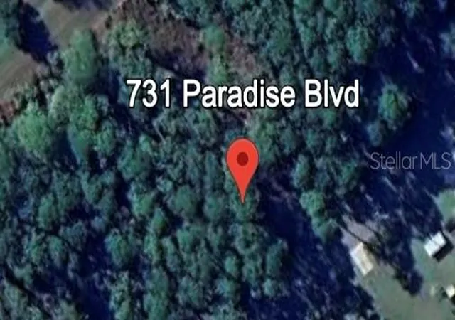 Photo 1 of Land for sale at 731 Paradise Blvd, Georgetown, FL 32139 | MLS# O6354382 | Listing updated on 2026-10-16
