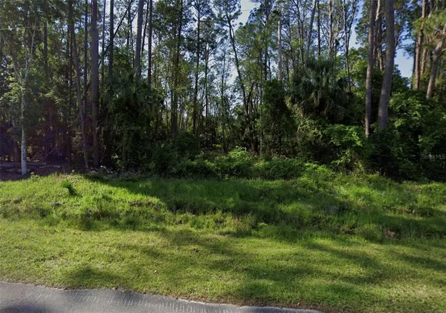 Photo 2 of Land for sale at 731 Paradise Blvd, Georgetown, FL 32139 | MLS# O6354382 | Listing updated on 2026-10-16