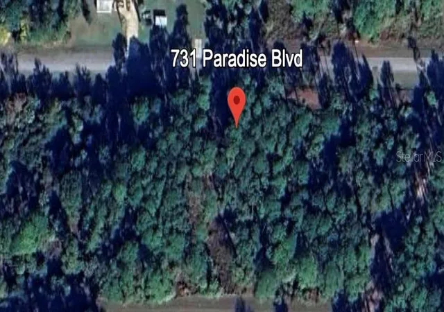 Photo 4 of Land for sale at 731 Paradise Blvd, Georgetown, FL 32139 | MLS# O6354382 | Listing updated on 2026-10-16