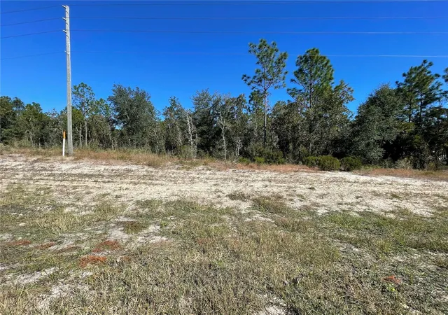 Photo 2 of Land for sale at Tbd Ne Hwy 27 Alt, Bronson, FL 32621 | MLS# OM712000 | Listing updated on 2026-04-09