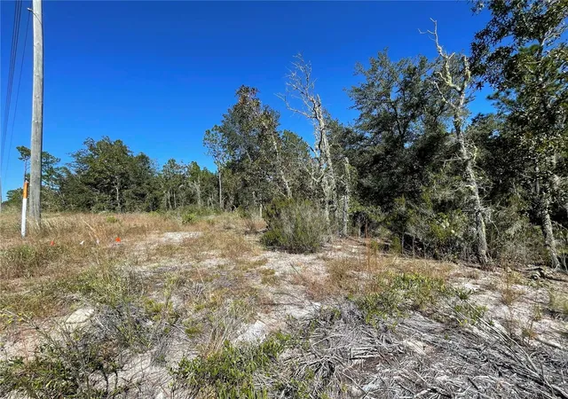 Photo 3 of Land for sale at Tbd Ne Hwy 27 Alt, Bronson, FL 32621 | MLS# OM712000 | Listing updated on 2026-10-20