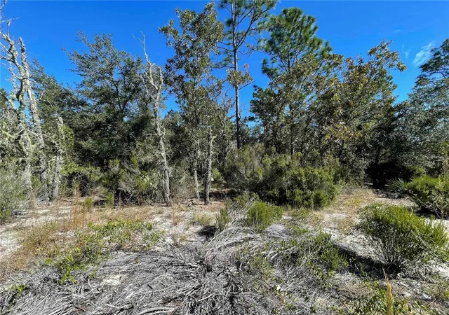 Photo 4 of Land for sale at Tbd Ne Hwy 27 Alt, Bronson, FL 32621 | MLS# OM712000 | Listing updated on 2026-10-20
