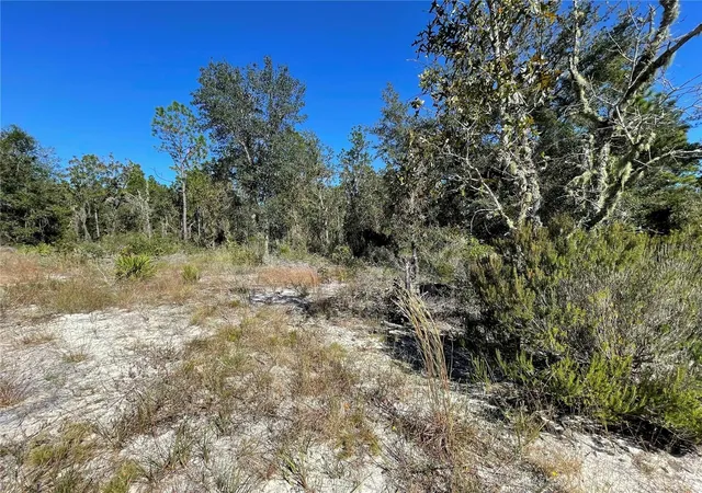 Photo 6 of Land for sale at Tbd Ne Hwy 27 Alt, Bronson, FL 32621 | MLS# OM712000 | Listing updated on 2026-04-09