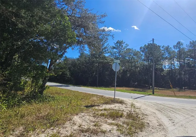 Photo 3 of Land for sale at 13099 SW 92nd Place, Dunnellon, FL 34432 | MLS# G5103613 | Listing updated on 2025-11-19