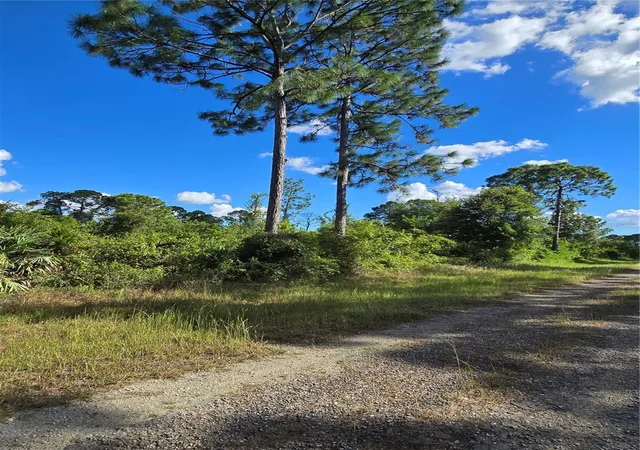 Photo 3 of Land for sale at 421 Wilder Ave S, Lehigh Acres, FL 33974 | MLS# O6354605 | Listing updated on 2025-10-23