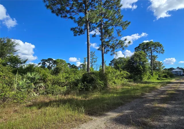 Photo 3 of Land for sale at 421 Wilder Ave S, Lehigh Acres, FL 33974 | MLS# O6354605 | Listing updated on 2025-10-23