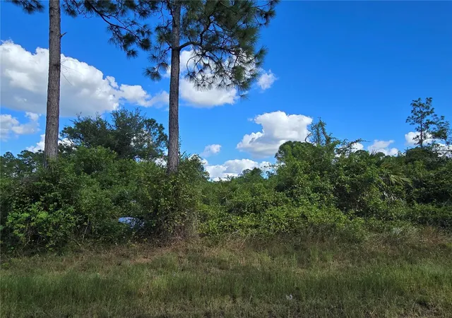 Photo 4 of Land for sale at 421 Wilder Ave S, Lehigh Acres, FL 33974 | MLS# O6354605 | Listing updated on 2025-10-23