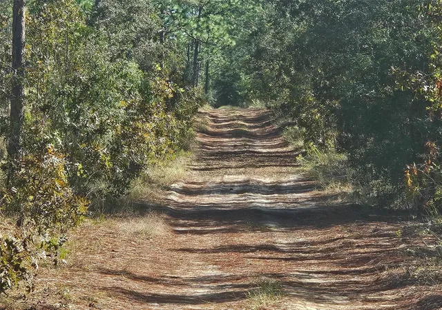 Photo 1 of Land for sale at Xxxx Sw 92nd Place, Dunnellon, FL 34432 | MLS# G5103615 | Listing updated on 2025-11-19
