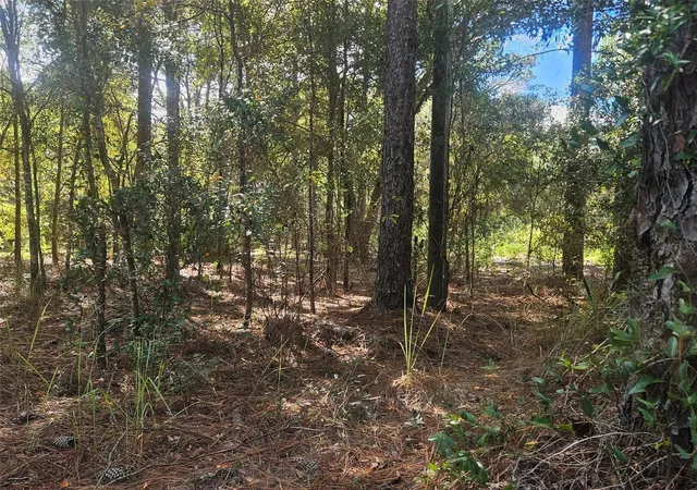 Photo 3 of Land for sale at Xxxx Sw 92nd Place, Dunnellon, FL 34432 | MLS# G5103615 | Listing updated on 2025-11-19