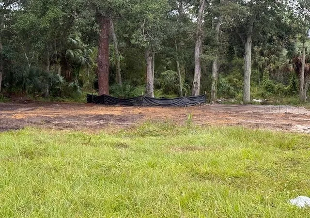 Photo 10 of Land for sale at 2794 S Ridgewood Ave, Edgewater, FL 32141 | MLS# NS1086312 | Listing updated on 2026-04-27