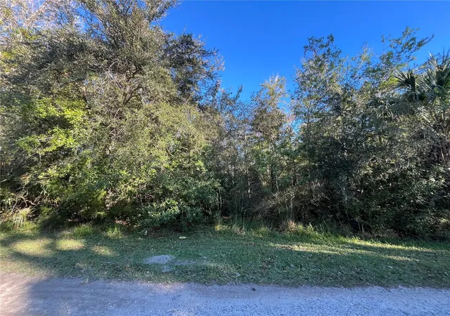 Homes for sale in Homosassa, FL | 9667 S Lotus Pt, Homosassa, FL 34448 | MLS# OK225683