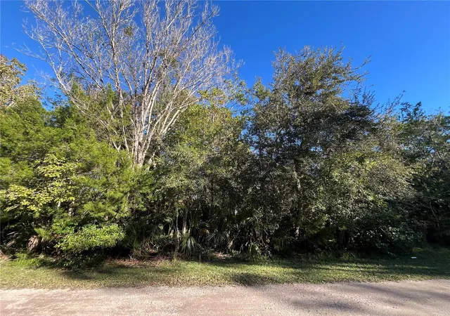 Homes for sale in Homosassa, FL | 9667 S Lotus Pt, Homosassa, FL 34448 | MLS# OK225683