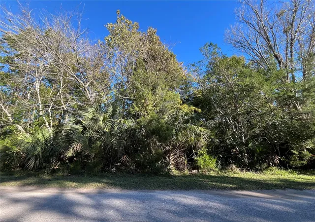 Homes for sale in Homosassa, FL | 9667 S Lotus Pt, Homosassa, FL 34448 | MLS# OK225683