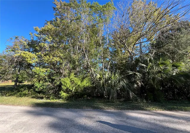 Homes for sale in Homosassa, FL | 9667 S Lotus Pt, Homosassa, FL 34448 | MLS# OK225683