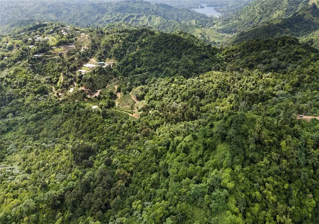 Homes for sale in Jayuya, PR | Bo Hoyos Planes Carr 531 Km Hm7, Jayuya, PR 00664 | MLS# PR9116886