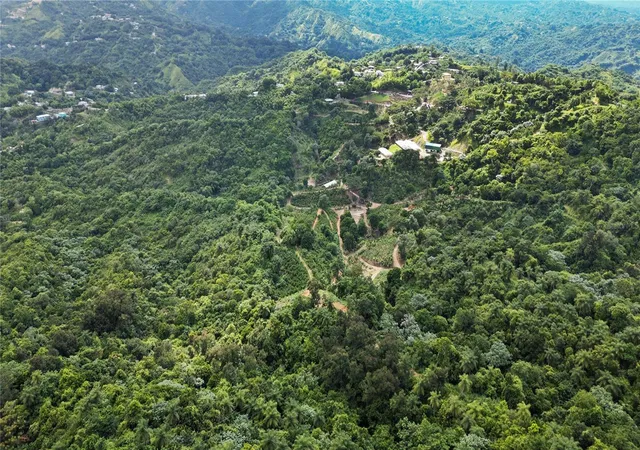 Homes for sale in Jayuya, PR | Bo Hoyos Planes Carr 531 Km Hm7, Jayuya, PR 00664 | MLS# PR9116886