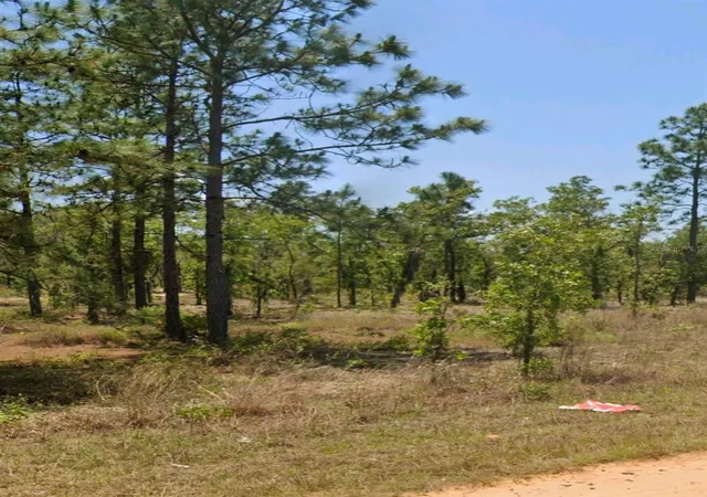 Photo 1 of Land for sale at Lot 14 15 16 And 17 Idaho Ave, Hawthorne, FL 32640 | MLS# OM712102 | Listing updated on 2026-08-26