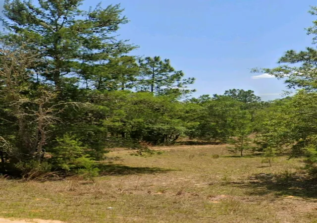 Photo 3 of Land for sale at Lot 14 15 16 And 17 Idaho Ave, Hawthorne, FL 32640 | MLS# OM712102 | Listing updated on 2026-08-26