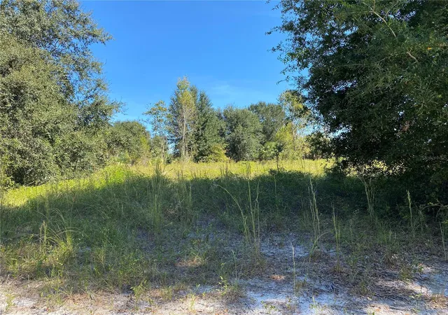 1st image of Xxxx Ne 3rd Ct, Citra, FL 32113 | MLS# OM712112
