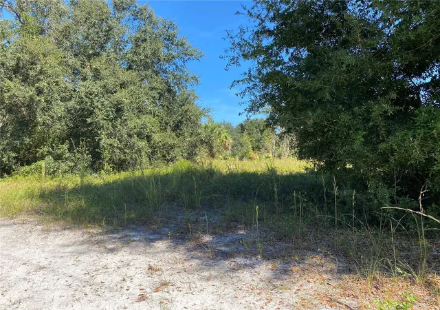 2nd image of Xxxx Ne 3rd Ct, Citra, FL 32113 | MLS# OM712112