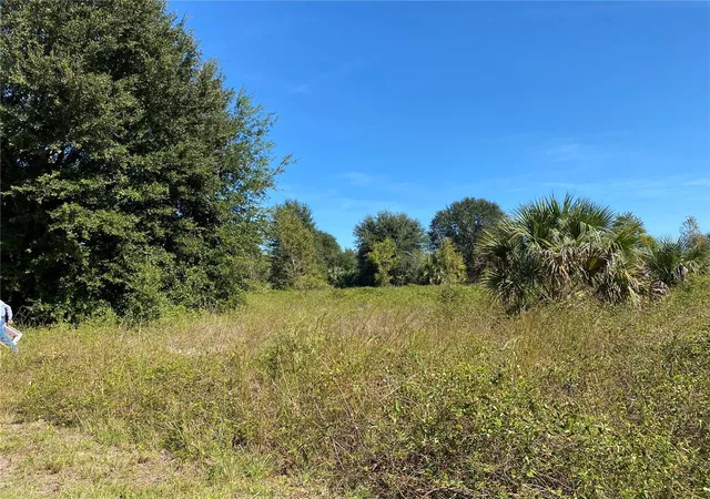 3rd image of Xxxx Ne 3Rd Ct, Citra, FL 32113 | MLS# OM712112