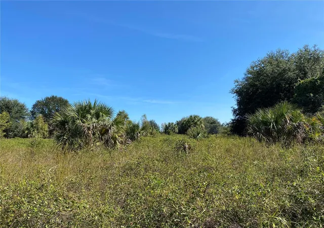 4th image of Xxxx Ne 3Rd Ct, Citra, FL 32113 | MLS# OM712112
