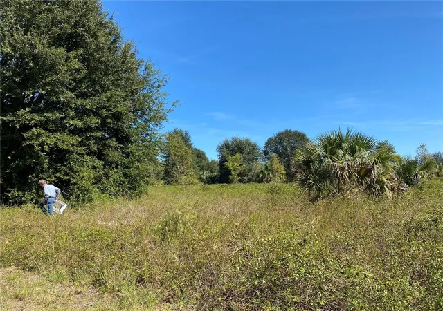 5th image of Xxxx Ne 3rd Ct, Citra, FL 32113 | MLS# OM712112