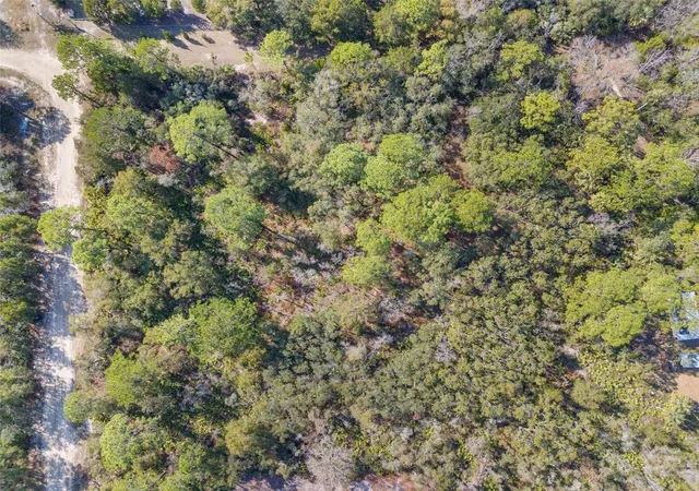 Homes for sale in Crystal River, FL | 419 N Vesper Pt, Crystal River, FL 34429 | MLS# W7880154