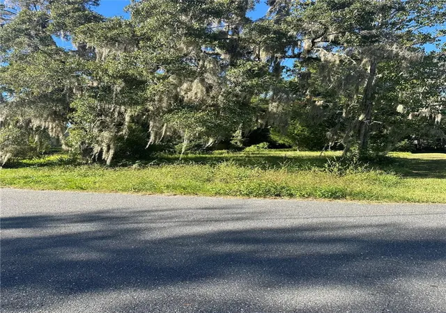 2nd image of Lot 8 Ne 1st St, Williston, FL 32696 | MLS# TB8441403