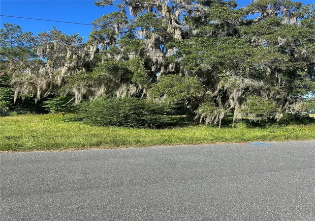 3rd image of Lot 8 Ne 1St St, Williston, FL 32696 | MLS# TB8441403