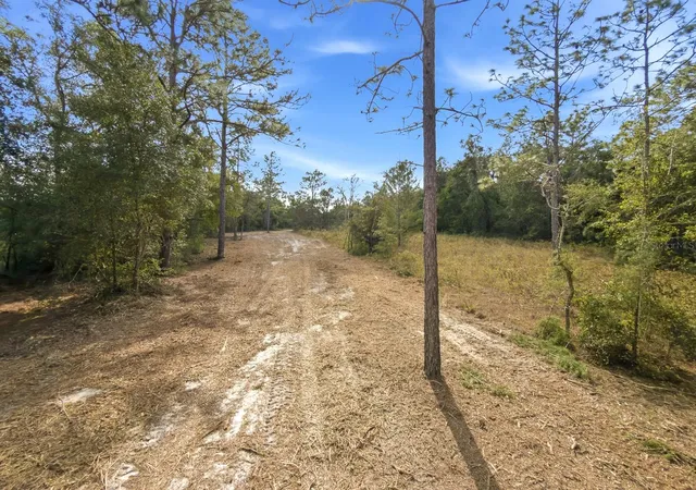 Photo 45 of Land for sale at 34095 Hyatt Rd, Dade City, FL 33523 | MLS# O6355486 | Listing updated on 2026-07-30