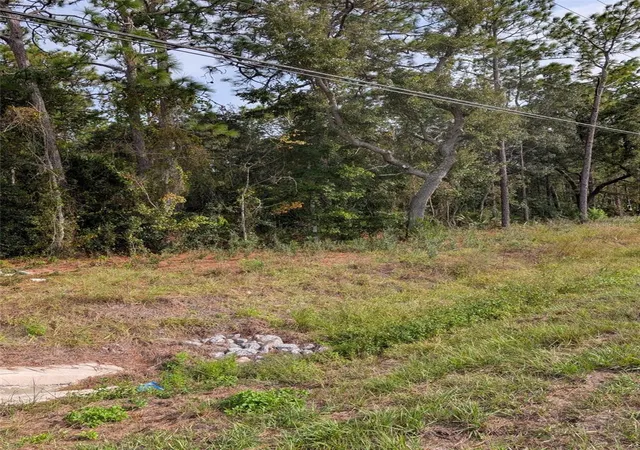 Photo 3 of Land for sale at 9115 S Suncoast Blvd, Homosassa, FL 34446 | MLS# OM712343 | Listing updated on 2026-09-21