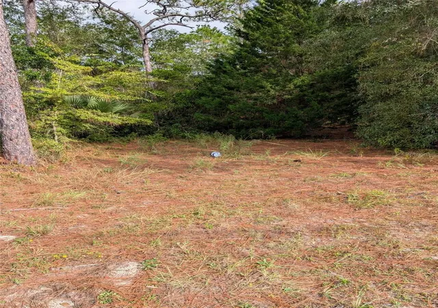 4th image of 9115 S Suncoast Blvd, Homosassa, FL 34446 | MLS# OM712343