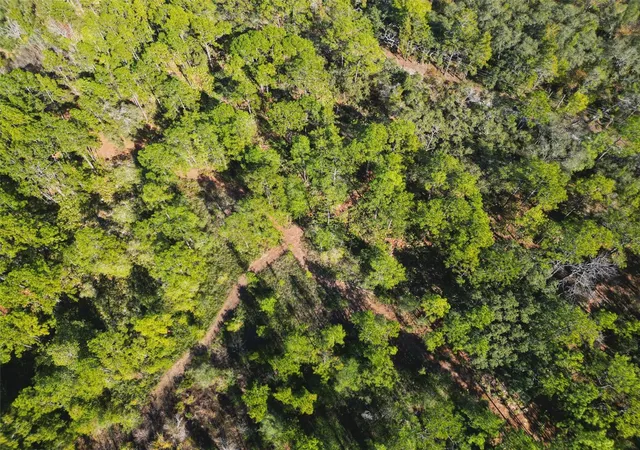 Photo 4 of Land for sale at 9115 S Suncoast Blvd, Homosassa, FL 34446 | MLS# OM712343 | Listing updated on 2026-09-21