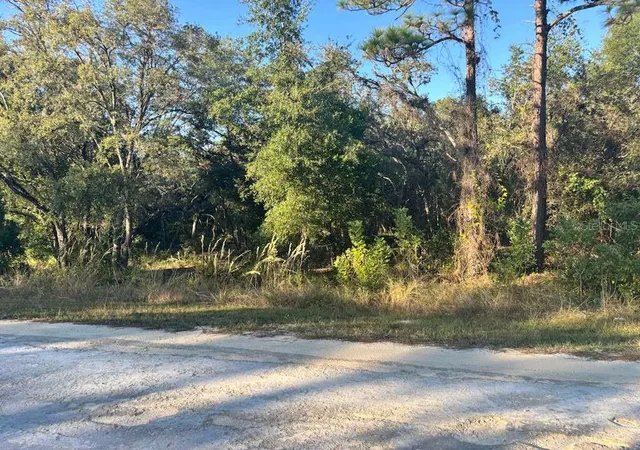 Photo 1 of Land for sale at 33193 Easter Dr, Webster, FL 33597 | MLS# TB8442105 | Listing updated on 2026-09-14