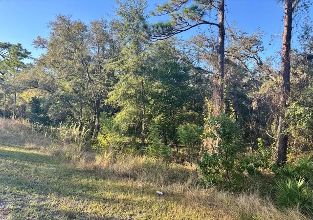 Photo 2 of Land for sale at 33193 Easter Dr, Webster, FL 33597 | MLS# TB8442105 | Listing updated on 2026-09-14