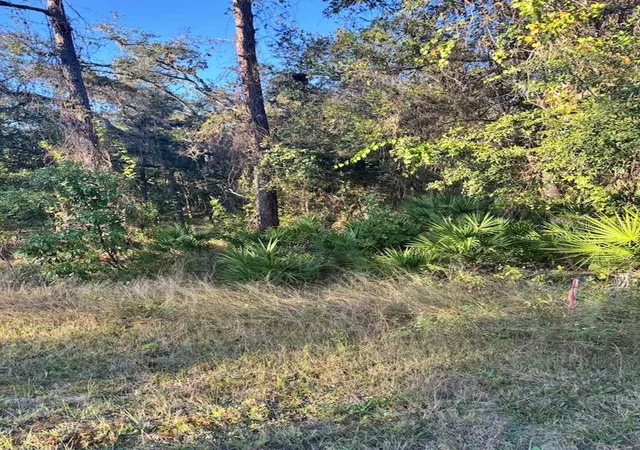 Photo 3 of Land for sale at 33193 Easter Dr, Webster, FL 33597 | MLS# TB8442105 | Listing updated on 2026-09-14