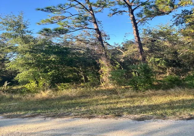 Photo 3 of Land for sale at 33193 Easter Dr, Webster, FL 33597 | MLS# TB8442105 | Listing updated on 2026-09-14