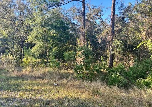 Photo 4 of Land for sale at 33193 Easter Dr, Webster, FL 33597 | MLS# TB8442105 | Listing updated on 2026-09-14