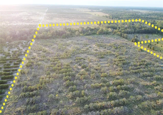 4th image of 1895 Otto Polk Rd, Frostproof, FL 33843 | MLS# TB8442195