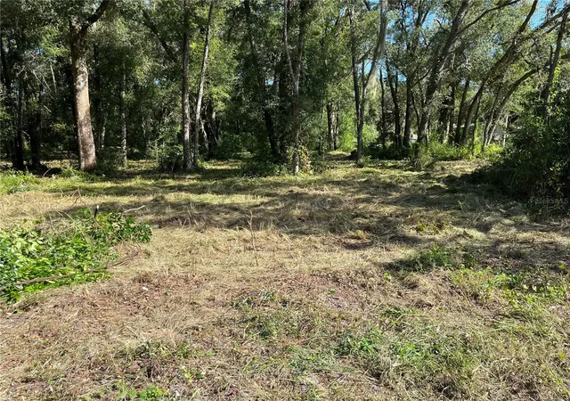 1st image of 0 Sr 575, Dade City, FL 33523 | MLS# O6356032