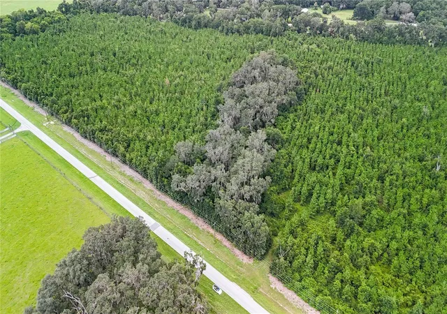 3rd image of Tbd Sw County Road 346, Archer, FL 32618 | MLS# GC535076